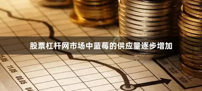 股票杠杆网市场中蓝莓的供应量逐步增加