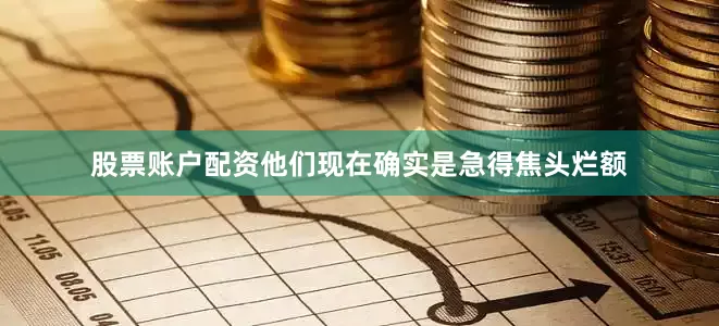 股票账户配资他们现在确实是急得焦头烂额