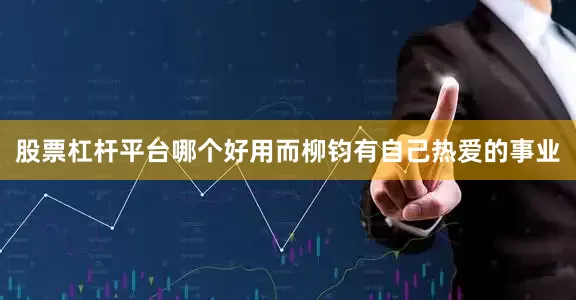 股票杠杆平台哪个好用而柳钧有自己热爱的事业