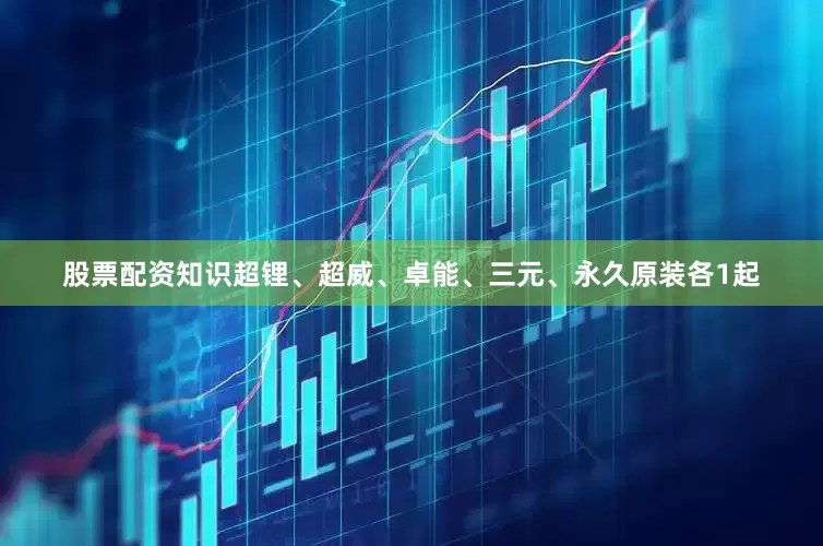 股票配资知识超锂、超威、卓能、三元、永久原装各1起